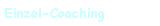 Einzel-Coaching