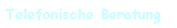 Telefonische Beratung